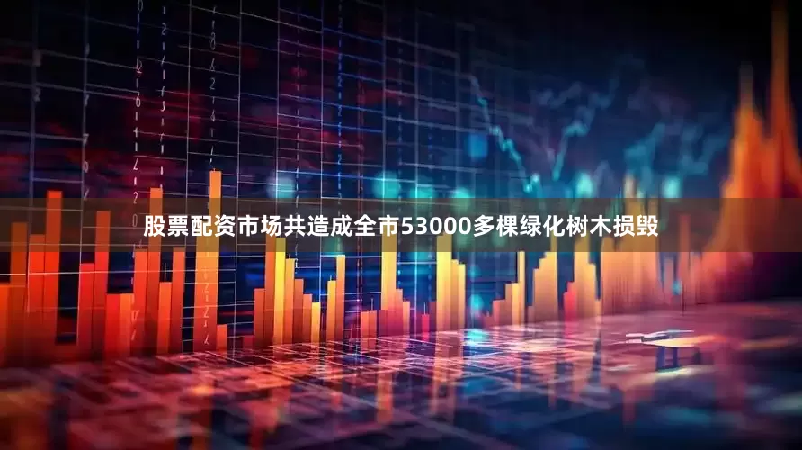 股票配资市场共造成全市53000多棵绿化树木损毁